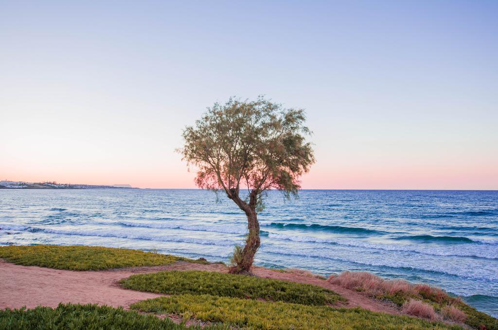 Stalida Ariadne Beach Hotel מראה חיצוני תמונה